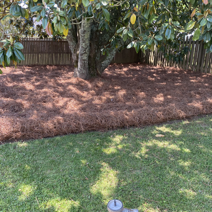 Additional Photos