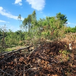 Storm clean up