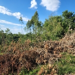Storm clean up