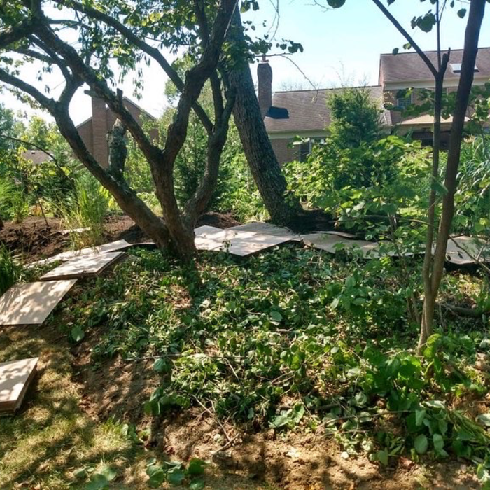 Additional Photos