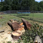 Tree Service Project
