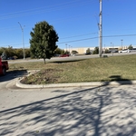 Tree Service Project