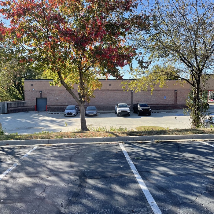 Tree Service Project
