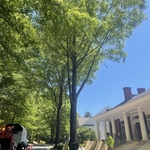 Tree Service Project