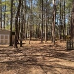 Tree Service Project