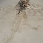 Pressure Washing Project