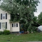 Large maple tree blown over by storm. When arriving to the home