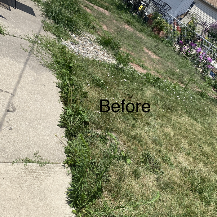 Additional Photos