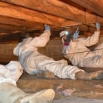 crawlspace encapsulation