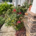 Landscaping Project