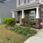 Landscaping Project