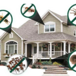 Quarterly pest control