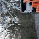 Tree Service Project