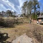 Tree Service Project