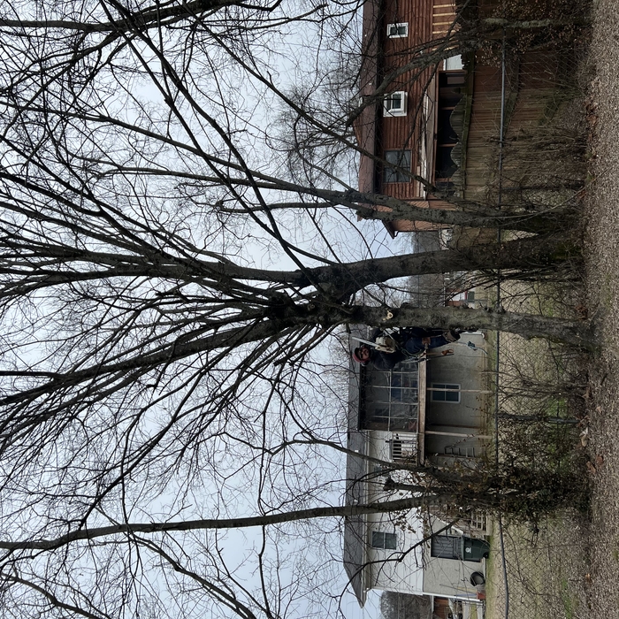 Tree Service Project