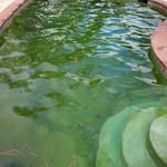 Second view before the drain