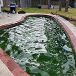 The green before the clean.