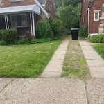 Landscaping Project