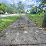 Roof Cleaning Project