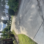 Landscaping Project