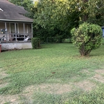 Landscaping Project