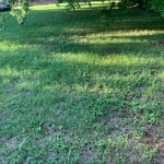 Landscaping Project