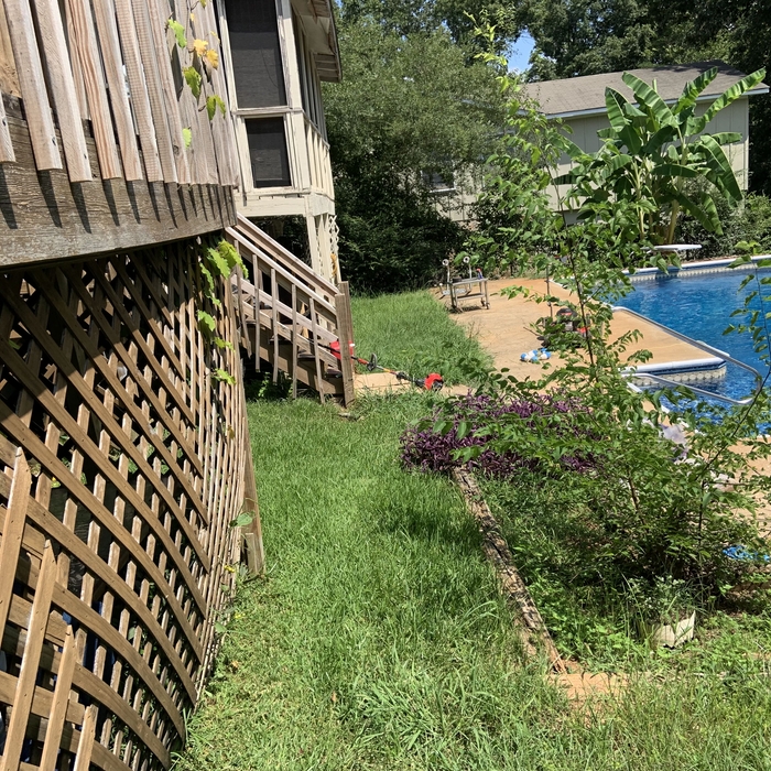 Landscaping Project