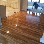 Hardwood Floor Cleaning