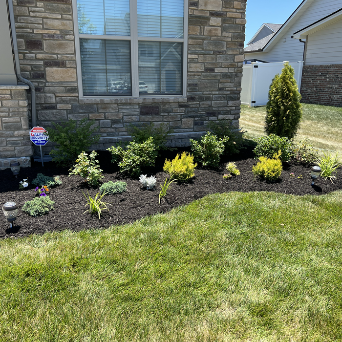 Additional Photos