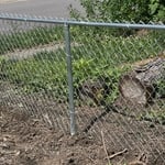 Fencing - Wilson
