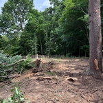 Vegetation removal process.