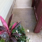 Sidewalk and porch