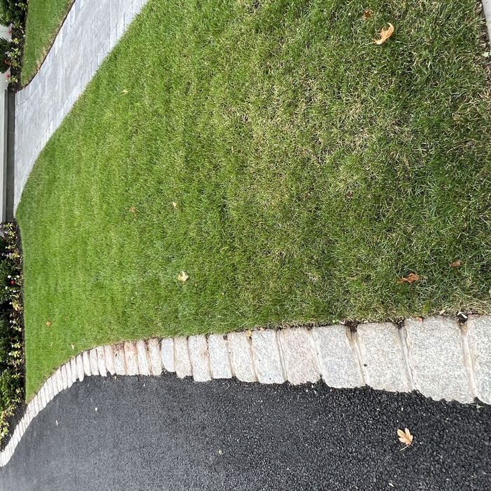 Landscaping Project