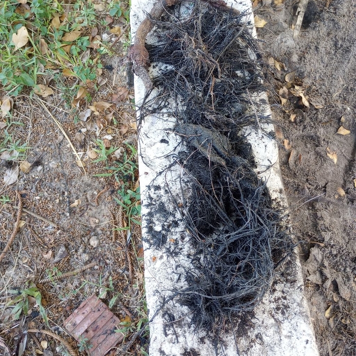 Jay's Drain Cleaning — photo 12