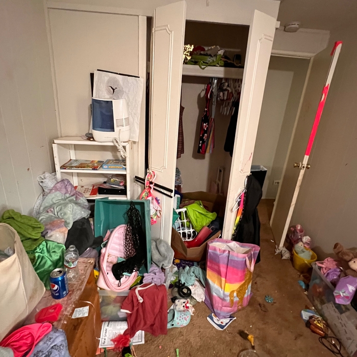 Cleaning and organizing