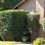Lawn maintenance