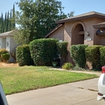Lawn maintenance