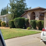 Landscaping Project