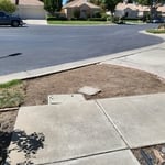Landscaping Project