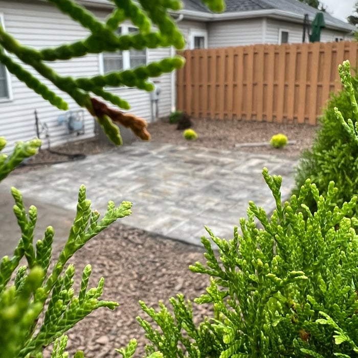 Backyard Breeze