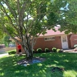 Landscaping Project