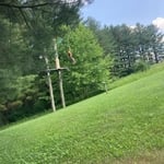 Tree removal