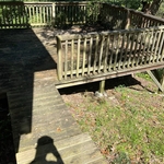 The porch was covered with algae and grime