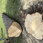Tree Service Project