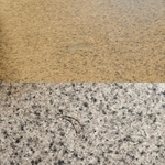 Laminate Countertop Repair