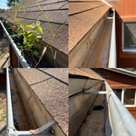 Gutter Cleaning