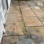 Surface cleaning back patio