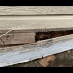 Before- all wood behind is rotted