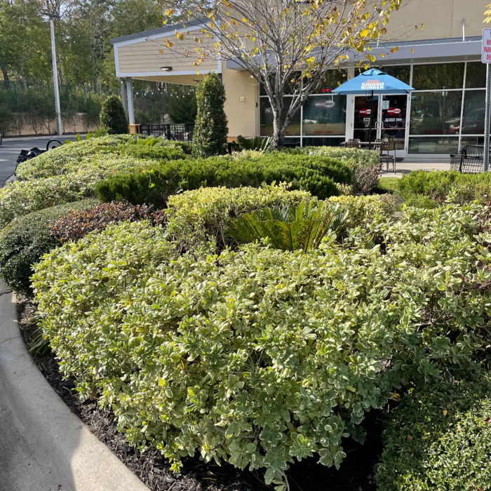 Additional Photos