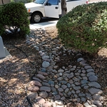 Trim and Pruning